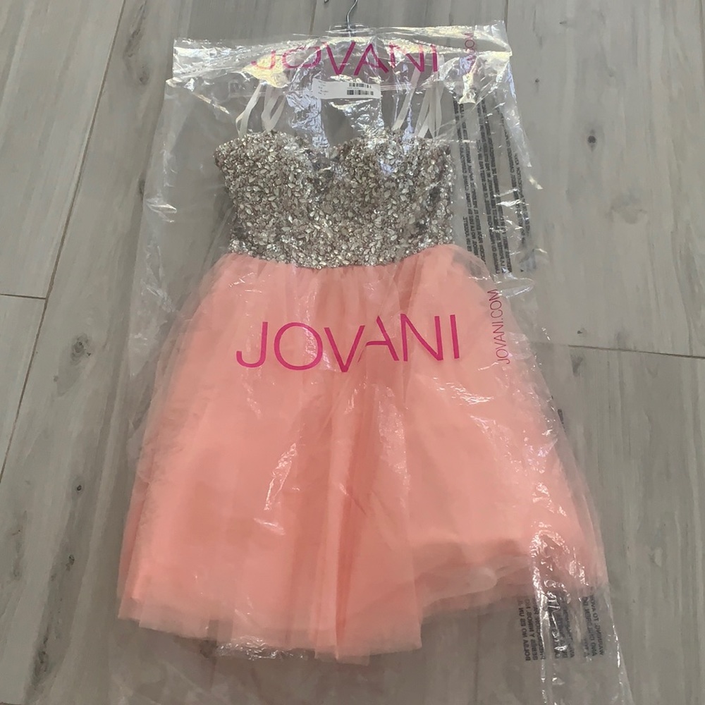Jovani Girl’s Dress. Size 2. Blush. NWT